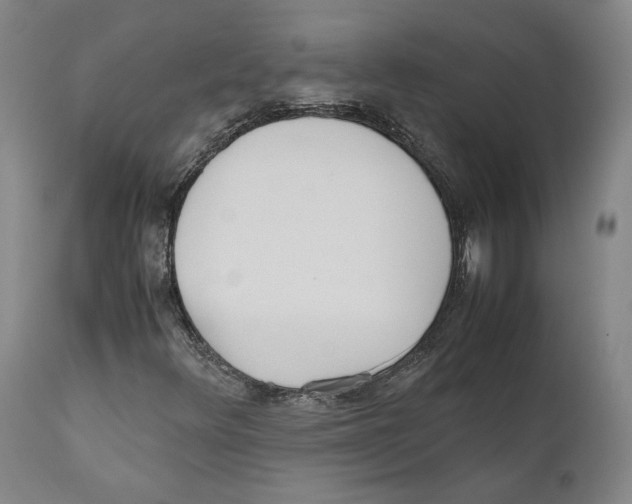 X0000110771348200907131224