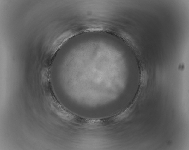 X0000110771353200907131224