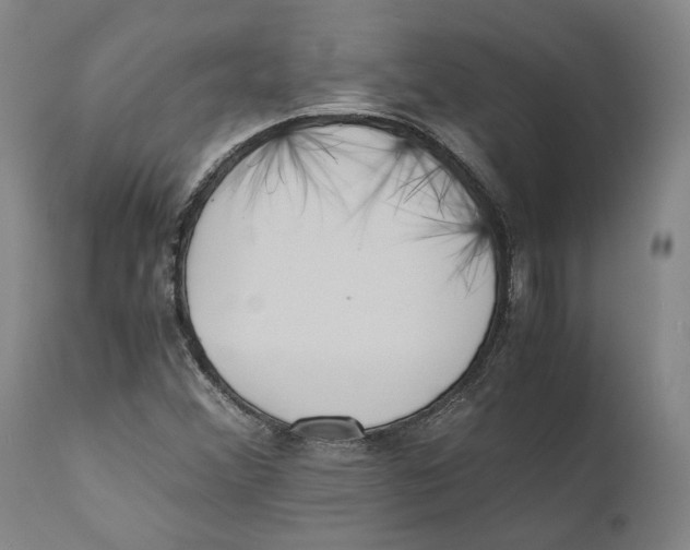 X0000110771356200907131224