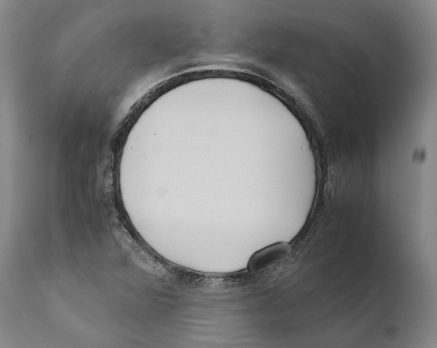 X0000110771360200907131224