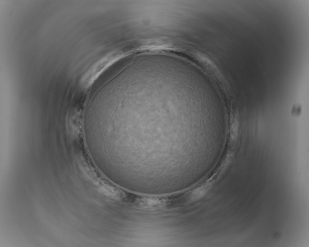 X0000110771361200907131224