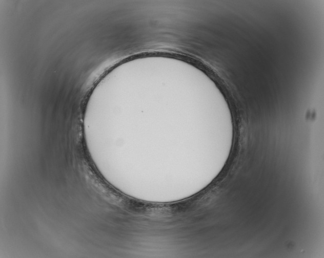 X0000110771363200907131224