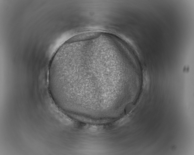 X0000110771365200907131224