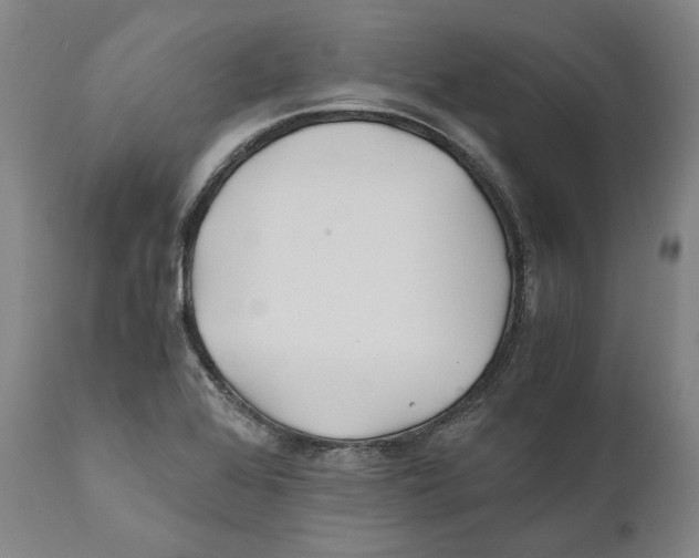 X0000110771368200907131224