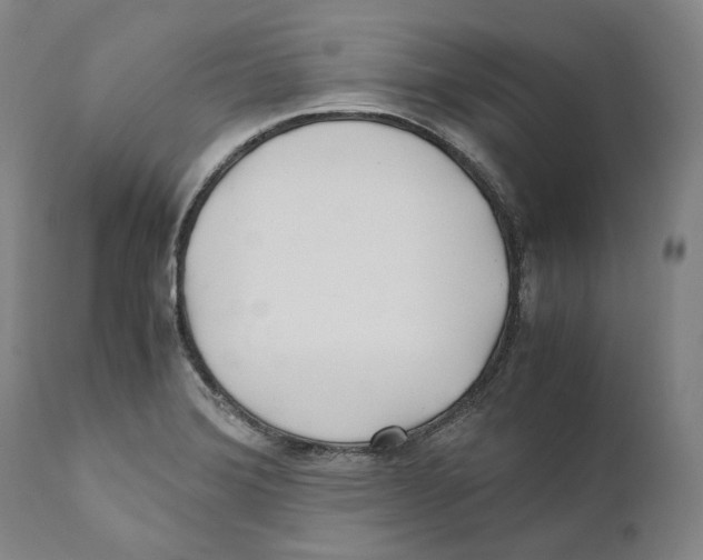 X0000110771372200907131223