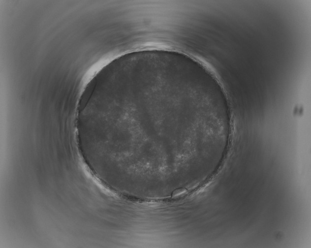 X0000110771373200907131223