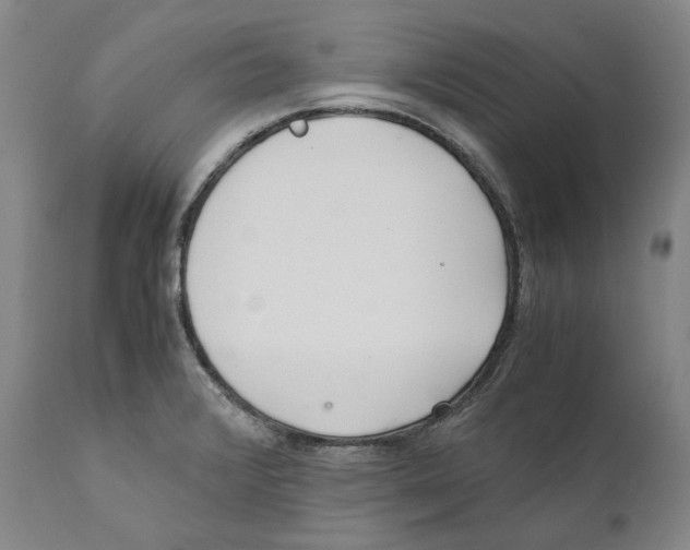 X0000110771376200907131223