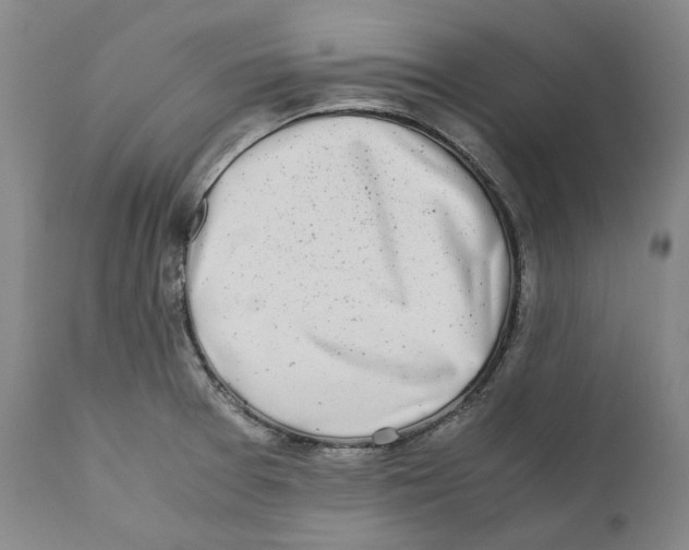 X0000110771377200907131223