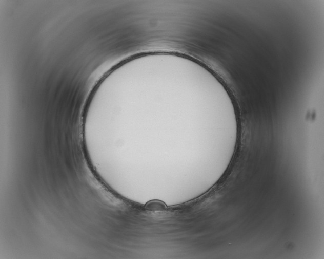 X0000110771380200907131223