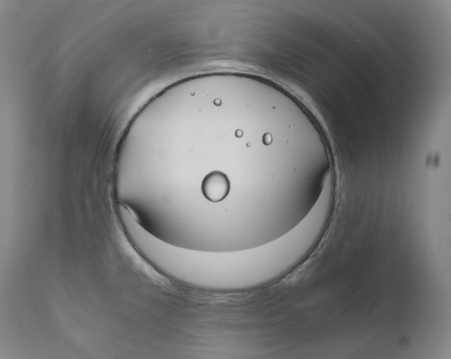 X0000110771381200907131223