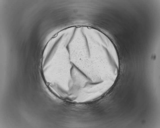 X0000110771383200907131223