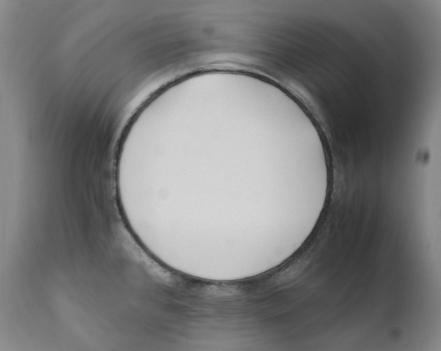 X0000110771384200907131223