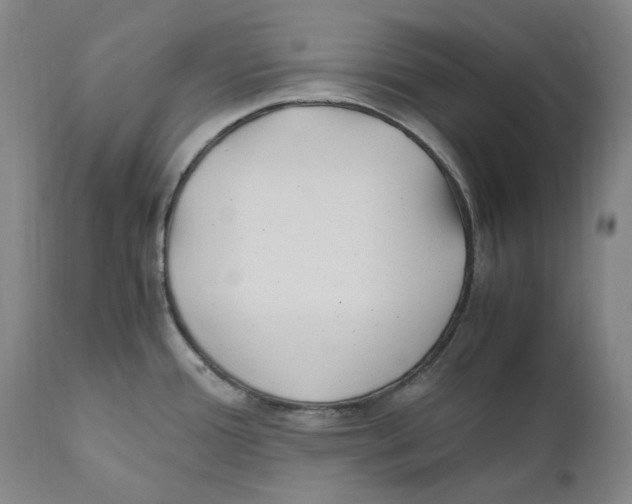 X0000110771388200907131223