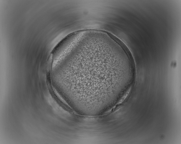 X0000110771389200907131223