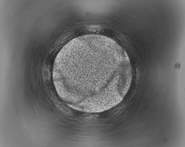 X0000110771394200907131223