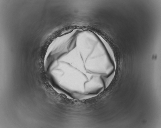 X0000110771398200907131223