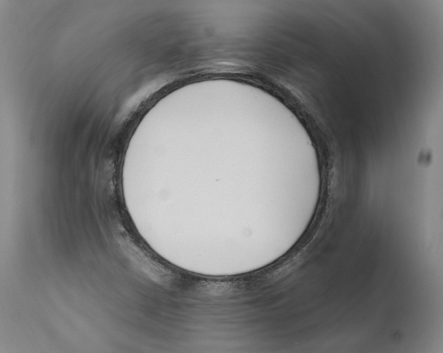 X0000110771402200907131223