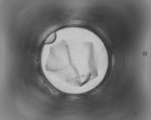 X0000110771405200907131223