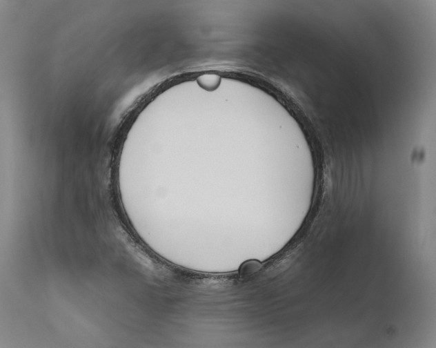 X0000110771406200907131223