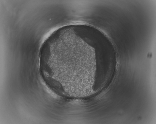 X0000110771414200907131223