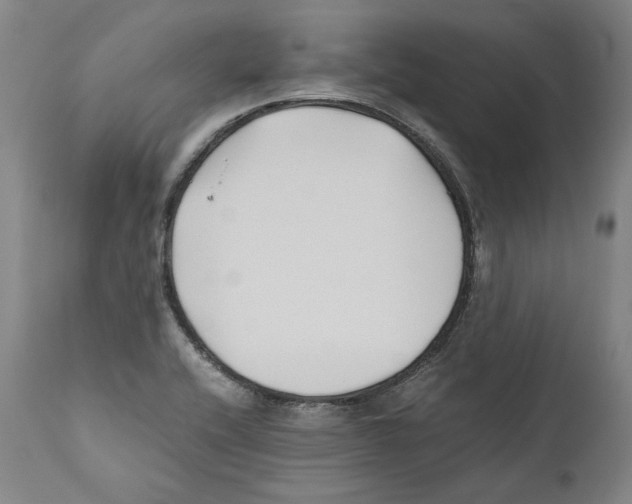 X0000110771416200907131223