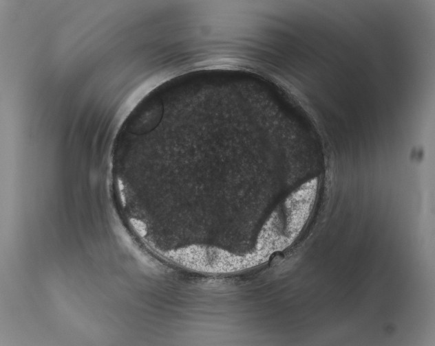 X0000110771418200907131223