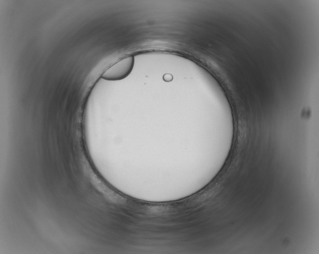 X0000110771421200907131223