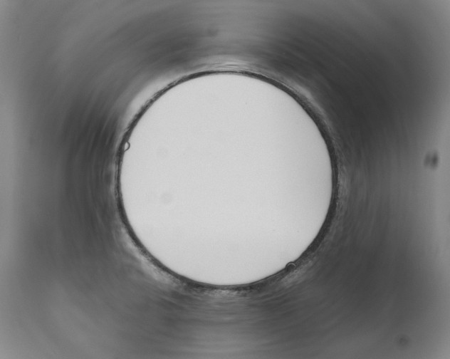 X0000110771424200907131223