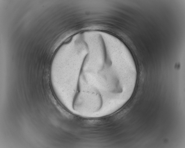 X0000110771425200907131223