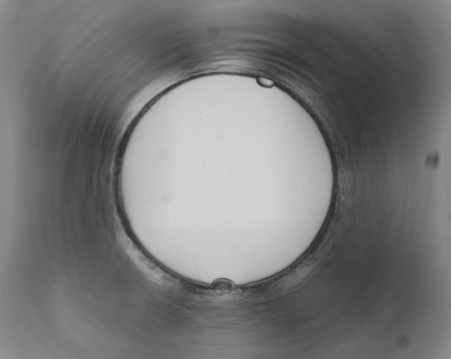 X0000110771426200907131223