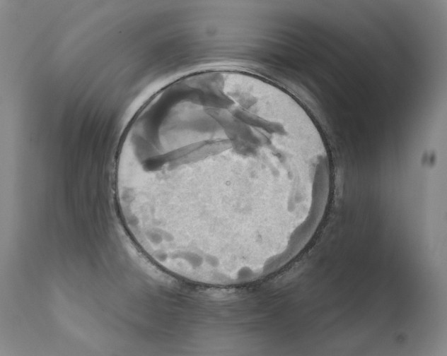 X0000110771428200907131223