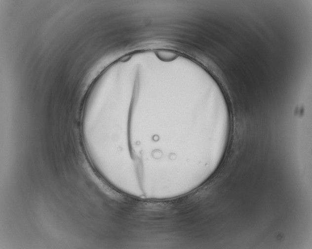 X0000110771429200907131223