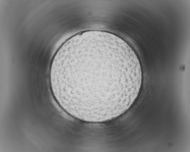 X0000110771432200907131223