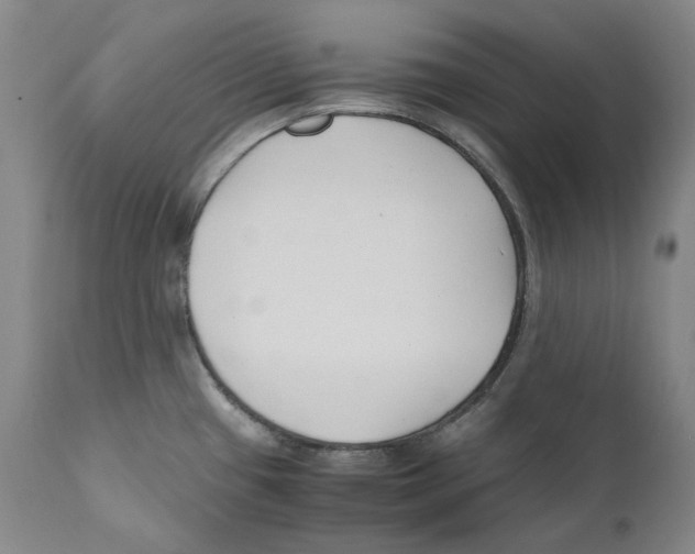 X0000110771433200907131223