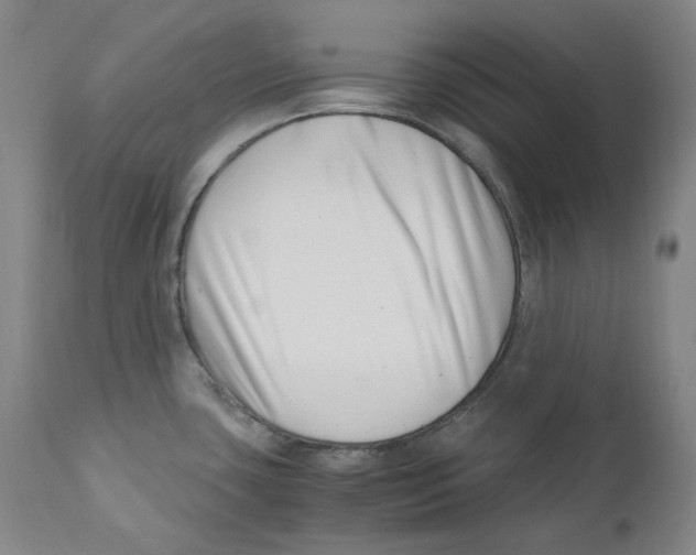 X0000110771435200907131223