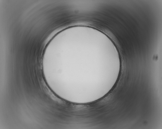 X0000110771436200907131223