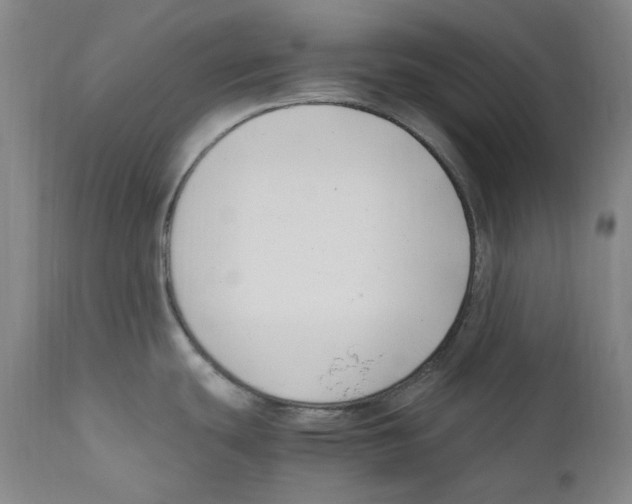 X0000110771439200907131223