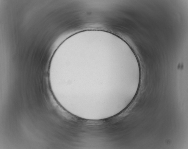 X0000110771440200907131223