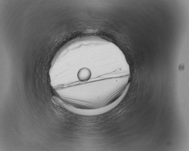 X0000110771441200907131223