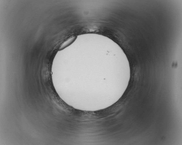 X0000110771442200907131222