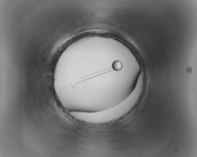 X0000110771448200907131222