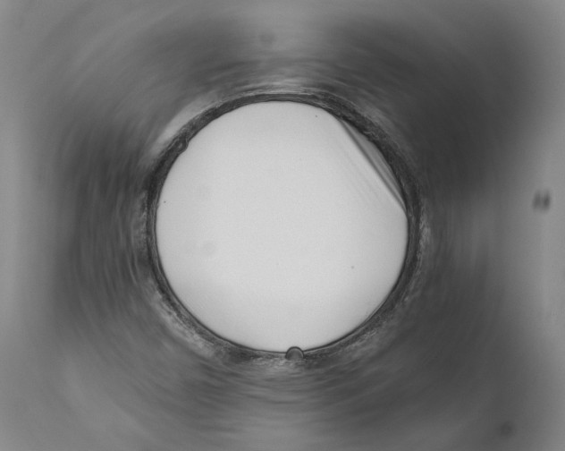 X0000110771450200907131222