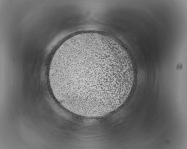 X0000110771454200907131222