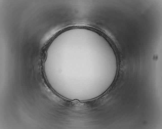 X0000110771456200907131222