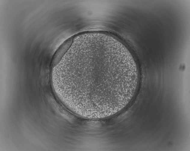 X0000110771457200907131222