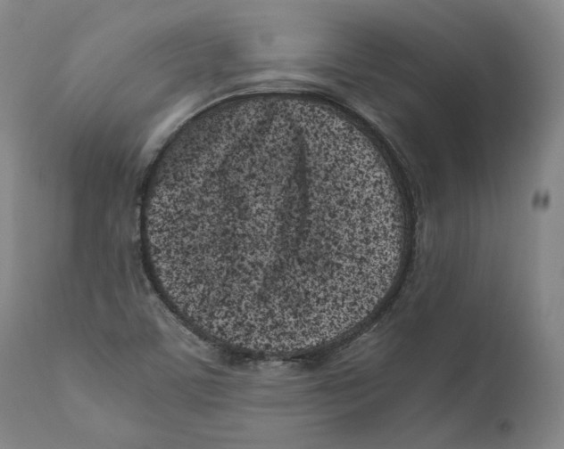 X0000110771459200907131222