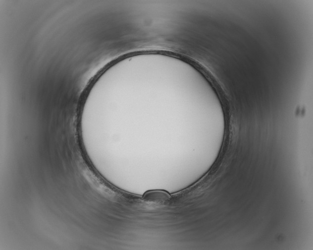 X0000110771460200907131222