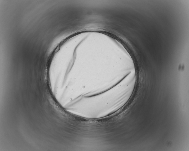 X0000110771461200907131222