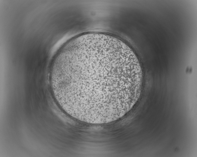 X0000110771462200907131222