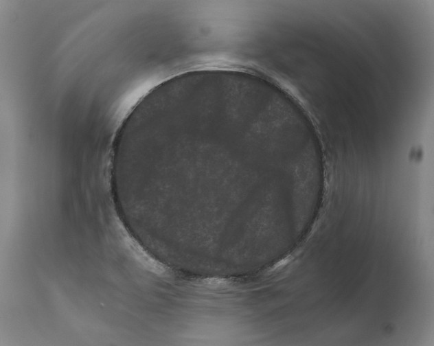 X0000110771463200907131222